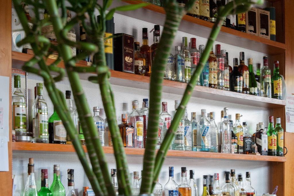 Hostal Montserrat Tona Phòng bức ảnh